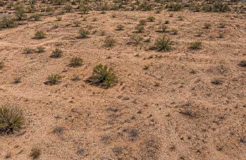 Dirt lot sold in Glendale Arizona